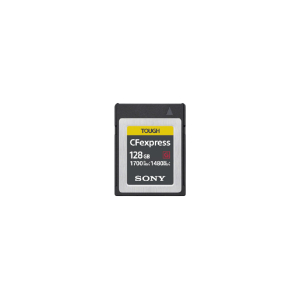 Sony CEB-G128 128 GB PC karte