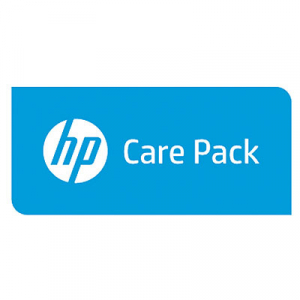 Hewlett Packard Enterprise U2WL4E IT support service