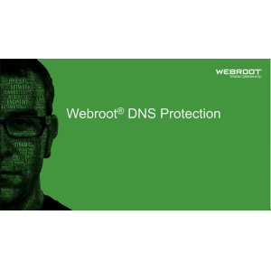 Webroot SecureAnywhere Business, DNS Protection Volume License (VL) 1 license(s) 1 year(s)