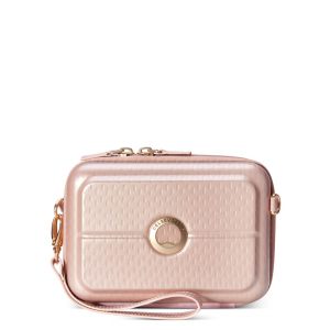 DELSEY BAG TURENNE HORIZONTAL CLUTCH PEONY 00162111509