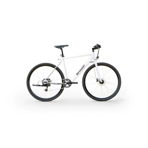 Hybrid E-Bike | 250 W | 21 