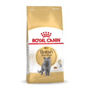 Royal Canin FBN British Shorthair Adult - dry cat food - 10kg 