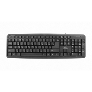 Esperanza TKR101 keyboard USB QWERTY English, Russian Black TKR101